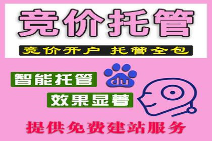 搜索引擎营销（SEM）广告投放的五大成功案例